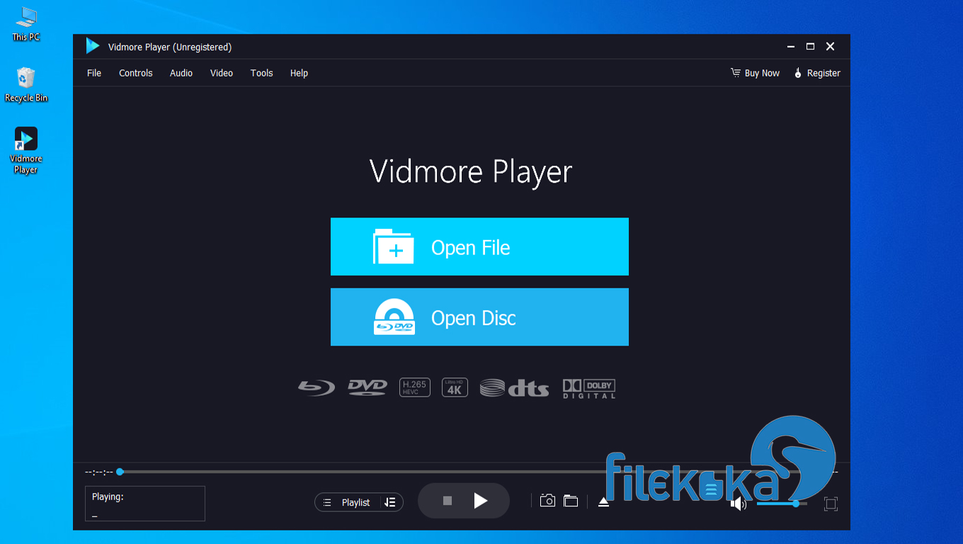 Vidmore Player